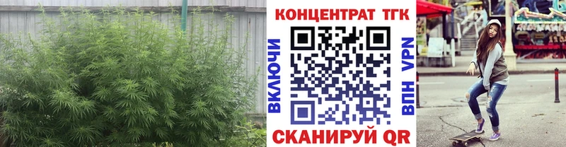 Дистиллят ТГК THC oil Щёлково